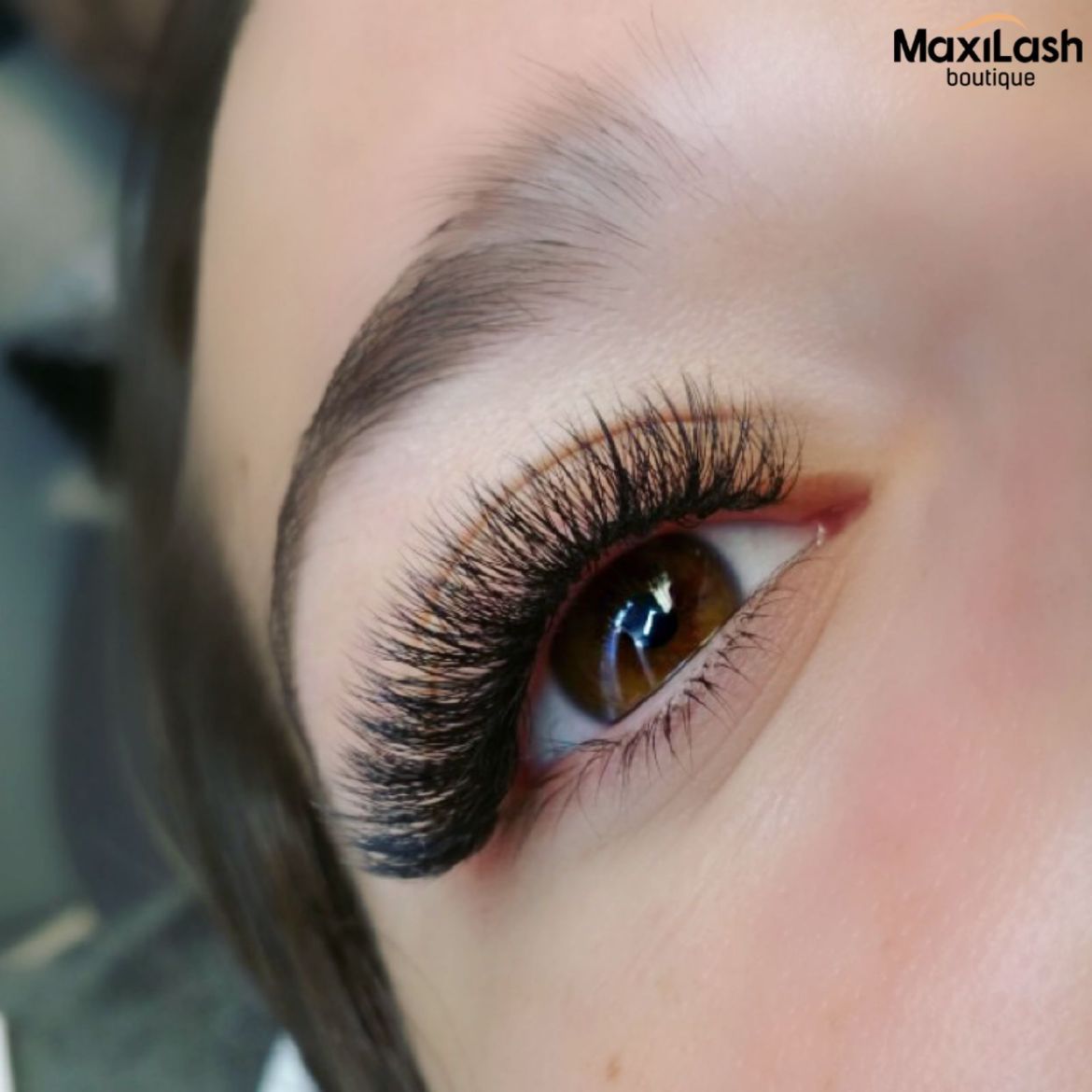 Vol Maxilash Boutique Lashes Pmu Boston