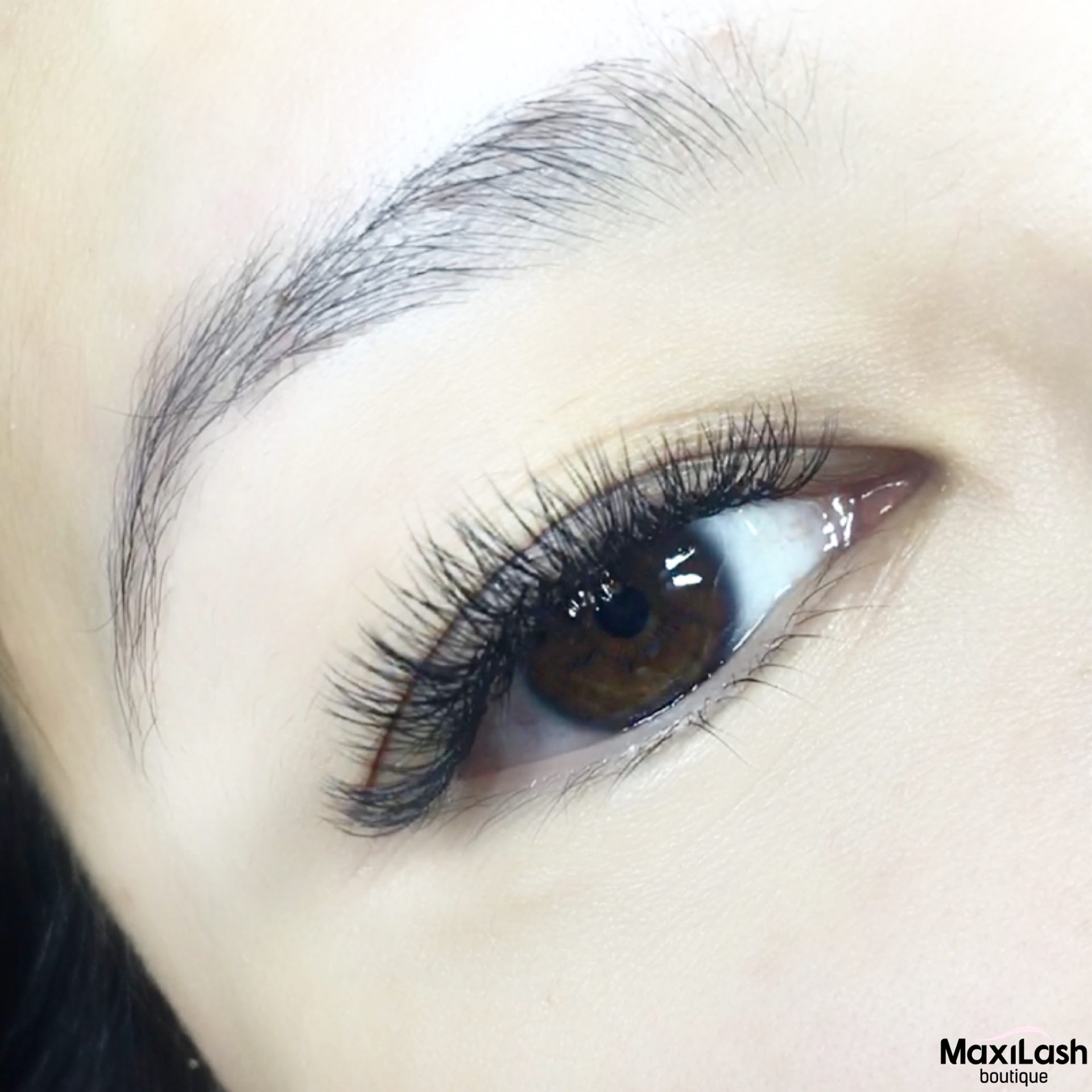 Volume – MaxiLash Boutique Lashes & PMU Boston