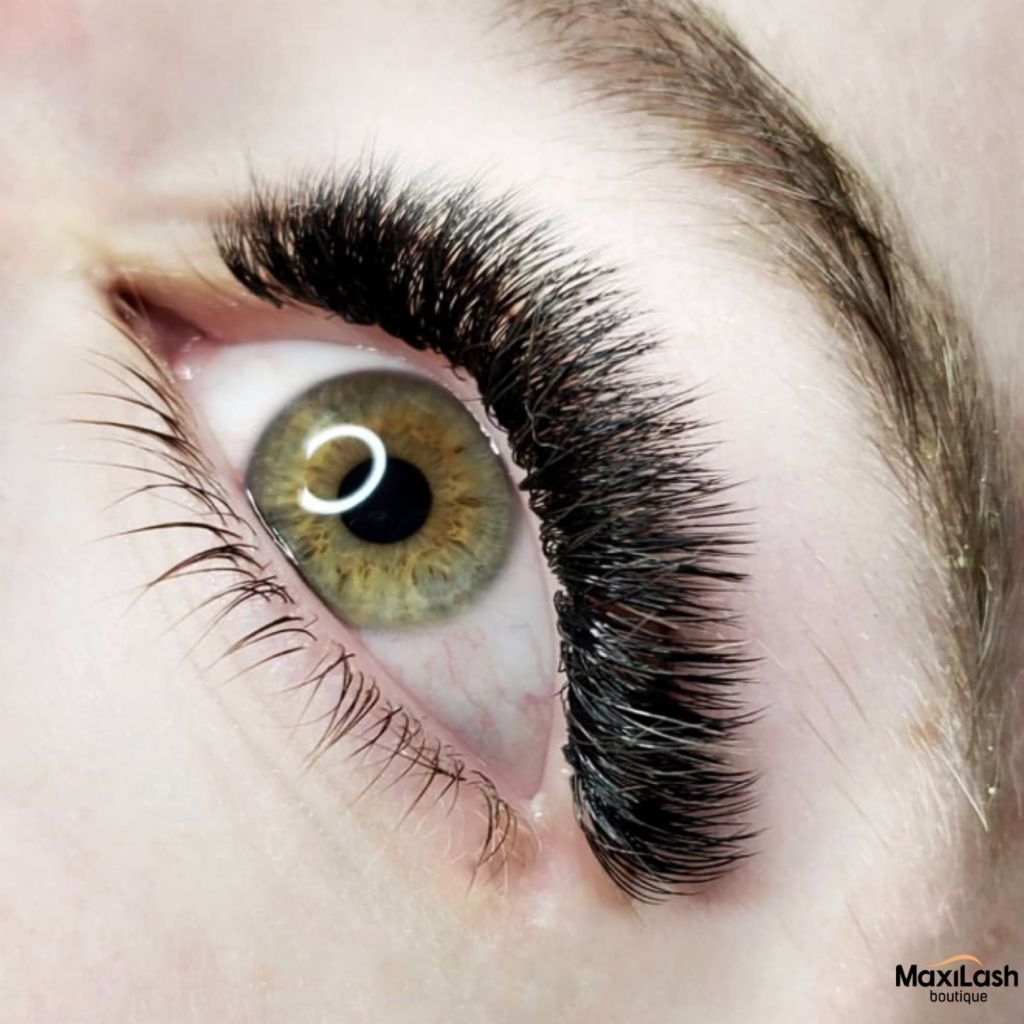 Volume Maxilash Boutique Lashes And Pmu Boston